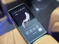 Denza D9 DM-i Smart Drive 1020 Four-Wheel Drive Premium - photo 14