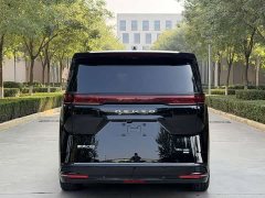 Denza D9 DM-i Smart Drive 1020 Four-Wheel Drive Premium - photo 18