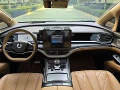 Denza D9 DM-i Smart Drive 1020 Four-Wheel Drive Premium - photo 9