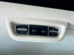 Mercedes-Benz V-Class V 260 L Long Wheelbase Luxury Edition - фото 20