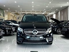 Mercedes-Benz V-Class V 260 L Long Wheelbase Luxury Edition - фото 3