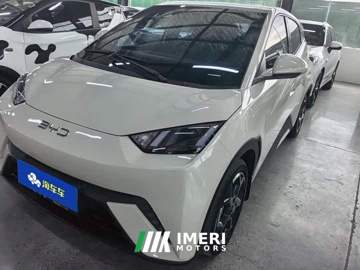 BYD Seagull Glory Edition 305km Freedom Version