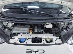 BYD Seagull Glory Edition 305km Freedom Version - фото 10