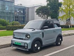 Geely Panda 210km Panda Kart - ფოტო 1