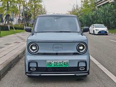 Geely Panda 210km Panda Kart - ფოტო 2