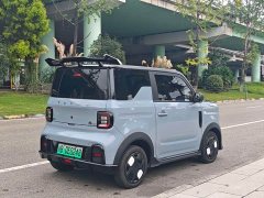 Geely Panda 210km Panda Kart - ფოტო 6