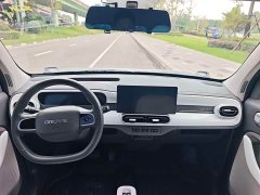 Geely Panda 210km Panda Kart - ფოტო 8