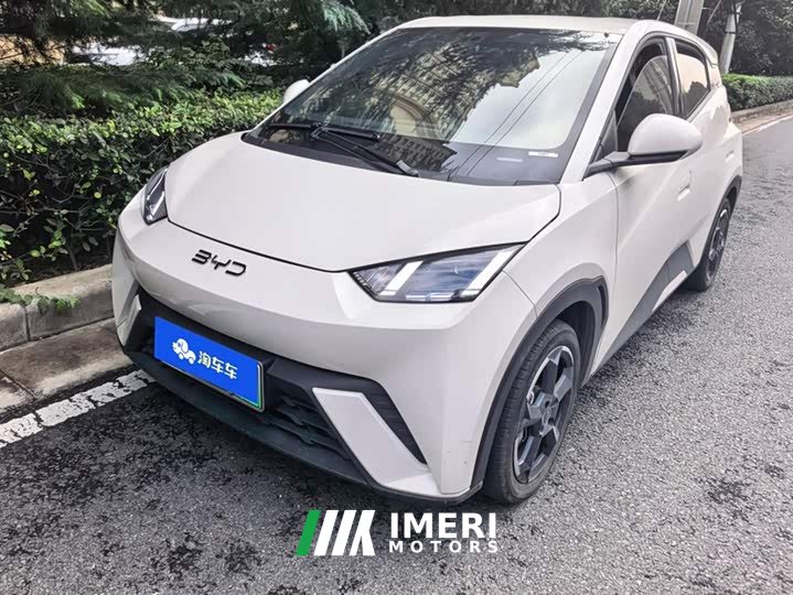 BYD Seagull Glory Edition 405km Flying Edition - ავტომობილი ჩინეთიდან