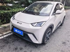 BYD Seagull Glory Edition 405km Flying Edition - ფოტო 1