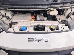 BYD Seagull Glory Edition 405km Flying Edition - ფოტო 10