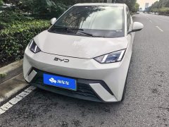 BYD Seagull Glory Edition 405km Flying Edition - ფოტო 2