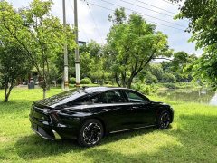 FAW Red Flag H6 2.0T Zhishang Edition - ფოტო 4
