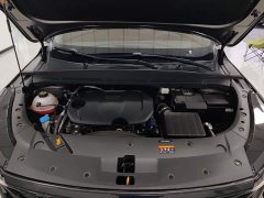 Geely Boyue 1.5TD Longteng Edition - ფოტო 10