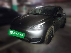 Tesla Model Y Rear-Wheel Drive - ფოტო 1