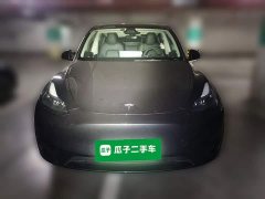 Tesla Model Y Rear-Wheel Drive - ფოტო 2