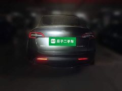 Tesla Model Y Rear-Wheel Drive - ფოტო 3