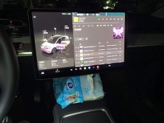 Tesla Model Y Rear-Wheel Drive - ფოტო 9