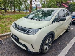 BYD Dolphin Glory Edition 420km Freedom Version - photo 1