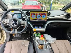 BYD Dolphin Glory Edition 420km Freedom Version - photo 2
