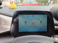 BYD Dolphin Glory Edition 420km Freedom Version - photo 3