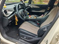 BYD Dolphin Glory Edition 420km Freedom Version - photo 4