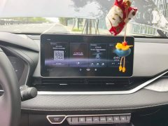 Geely Xingrui 2.0T Diesel Luxury - ფოტო 13