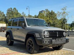Tank 300 Off-Road Edition 2.0T Conqueror - ფოტო 3