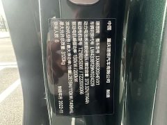 Li Auto L9 Max - ფოტო 11