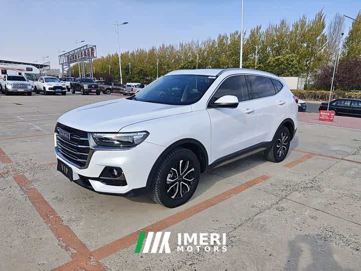 Haval H6 National Trend Edition 1.5T Automatic Urban Version - ავტომობილი ჩინეთიდან