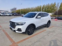 Haval H6 National Trend Edition 1.5T Automatic Urban Version - ფოტო 1