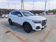 Haval H6 National Trend Edition 1.5T Automatic Urban Version - ფოტო 3