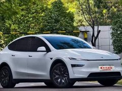 Tesla Model Y L Long Range All-Wheel Drive - фото 3