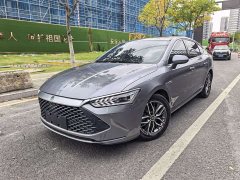 BYD Qin Plus DM-i 55KM Flagship - ფოტო 1