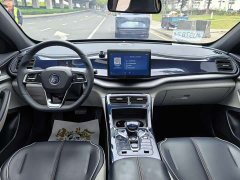 BYD Qin Plus DM-i 55KM Flagship - ფოტო 10