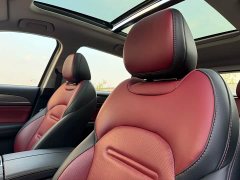 GAC Aion GS4 PLUS 270T Automatic Starlight Edition - ფოტო 5