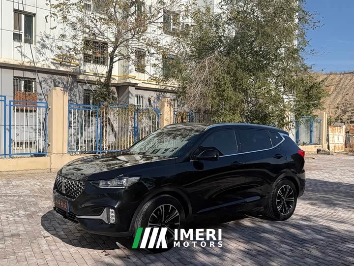 Great Wall WEY VV6 2.0T Two-Wheel Drive Smart Protection