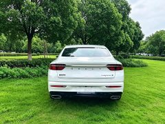 Geely Xingrui 1.5T Diesel Fuyao Edition - ფოტო 9