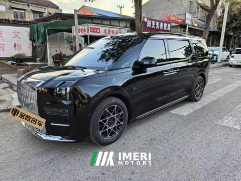 2025 Zeekr 009 Six-Seat Executive AWD 108kWh - car from China