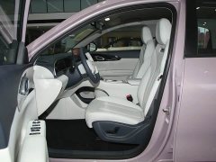 Geely Xing Yuan UP 410km Explorer Edition - ფოტო 15