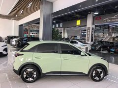 Geely Xing Yuan 310km Dream Edition - ფოტო 17