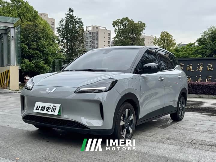 Wuling Binguo PLUS 330km 5-Seater - ავტომობილი ჩინეთიდან