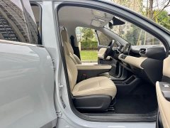 Wuling Binguo PLUS 330km 5-Seater - ფოტო 11