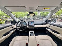 Wuling Binguo PLUS 330km 5-Seater - ფოტო 18