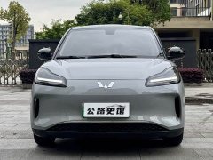 Wuling Binguo PLUS 330km 5-Seater - ფოტო 2
