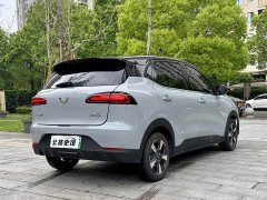 Wuling Binguo PLUS 330km 5-Seater - ფოტო 6