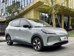 Wuling Binguo PLUS 330km 5-Seater - ფოტო 8