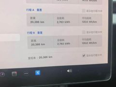 Tesla Model 3 Rear-Wheel Drive - ფოტო 5