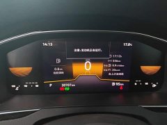 Volkswagen Magotan 2 Million Units Commemorative Edition 330TSI DSG Leading Version - photo 13