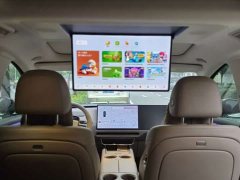 Li Auto i8 Standard Edition - ფოტო 7