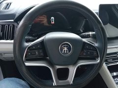 BYD Song Plus New Energy DM-i 110KM Flagship - ფოტო 15